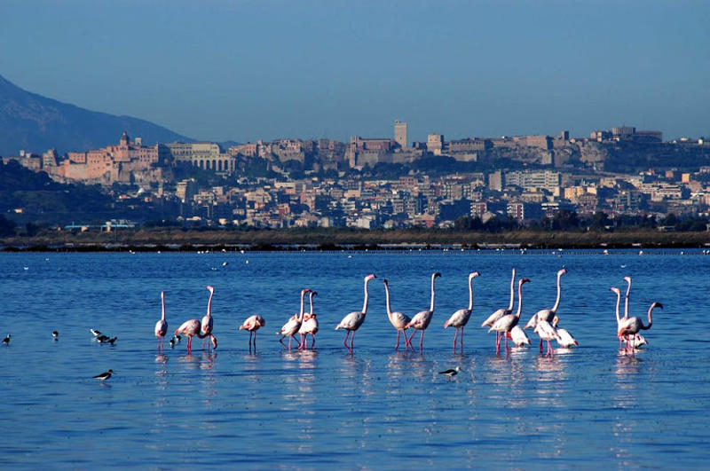 cagliari (ca)